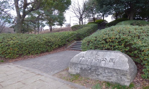 東急ドエル・ビアス市ヶ尾B棟(牛ケ谷公園)