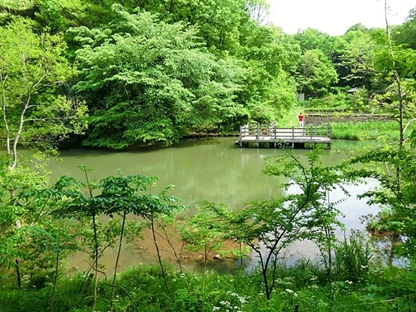 都筑区茅ケ崎南1丁目1期 全4棟13号棟(茅ヶ崎公園)
