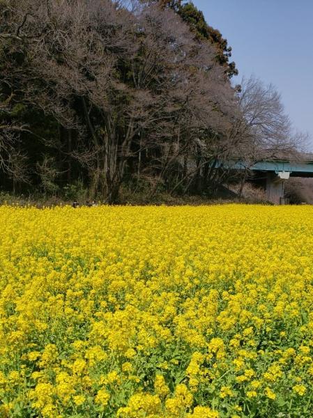 旭区金が谷1丁目全2棟1号棟(追分市民の森)