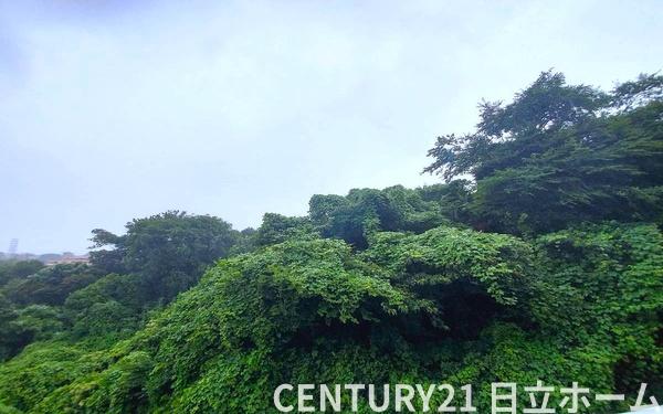 サンヴェール保土ケ谷