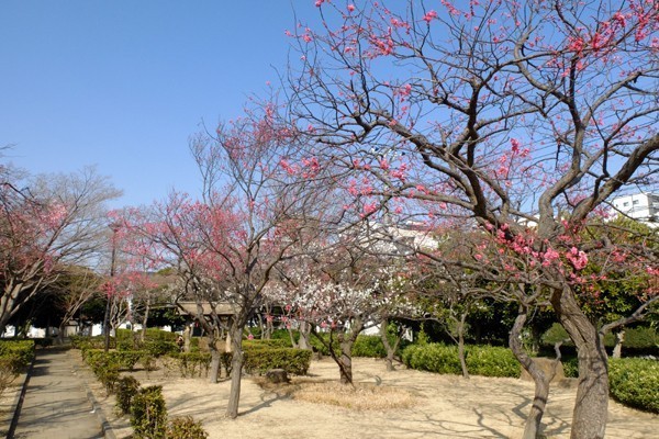 藤沢市湘南台3丁目 全2棟2号棟(円行公園)