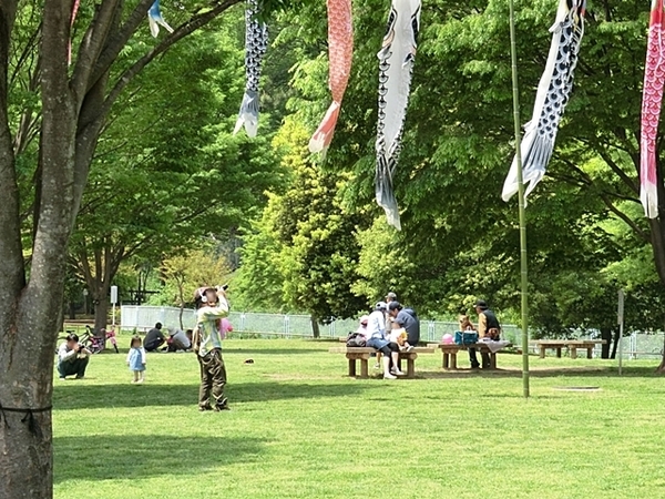 青葉区梅が丘 全1棟1号棟(北八朔公園)