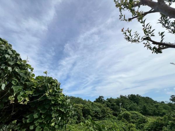 横浜市南区六ツ川４丁目の土地