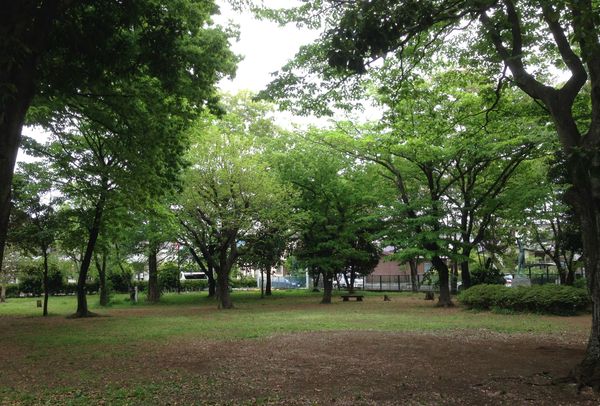 相模原市南区上鶴間11期(多胡記念公園)