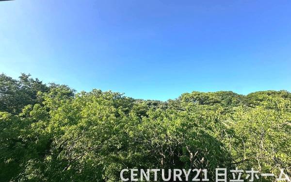 茅ヶ崎市松風台の新築一戸建