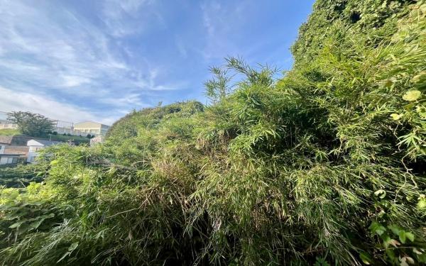 横浜市南区六ツ川１丁目の中古一戸建て