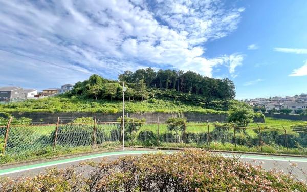 ピュアハイツ南万騎が原