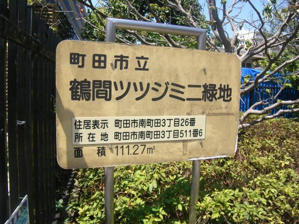 ドレッセタワー南町田グランベリーパーク(鶴間ツツジミニ緑地)