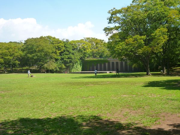 茅ヶ崎市茅ヶ崎 1号棟(中央公園)