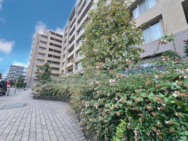 ライオンズヴィアーレ港北ニュータウン(その他現地)