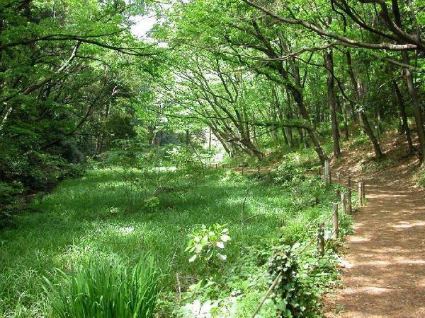 横浜市泉区上飯田町の中古一戸建て(上和田野鳥の森)