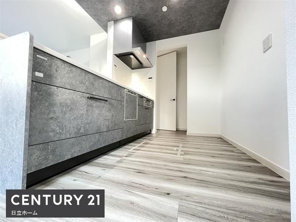 泉区中田東4丁目 全2棟1号棟(キッチン)