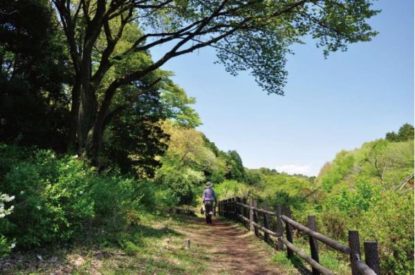 横浜市旭区上川井町の中古一戸建て(三保市民の森)