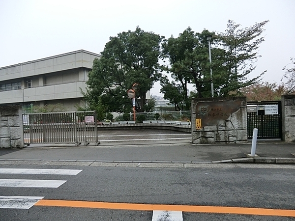 横浜市神奈川区松ケ丘の土地(横浜市立松本中学校)