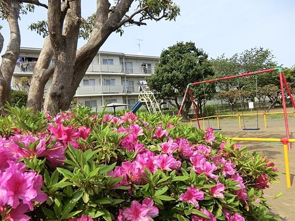 茅ヶ崎市松が丘２丁目の新築一戸建(松が丘第二公園)