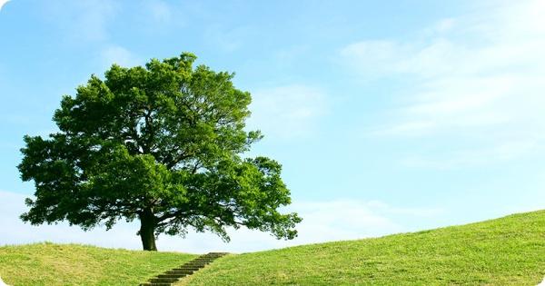 南区共進町２丁目(清水ケ丘公園)