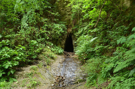 栄区庄戸５丁目　全１棟(瀬上市民の森)