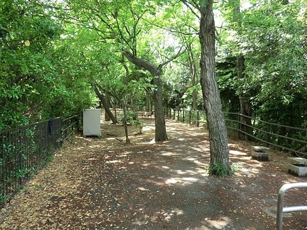 港北区日吉本町３丁目　全３棟Ｂ号棟(日吉の丘公園)