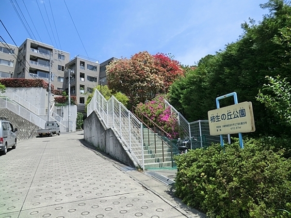 川崎市麻生区岡上１丁目の新築一戸建(柿生の丘公園)