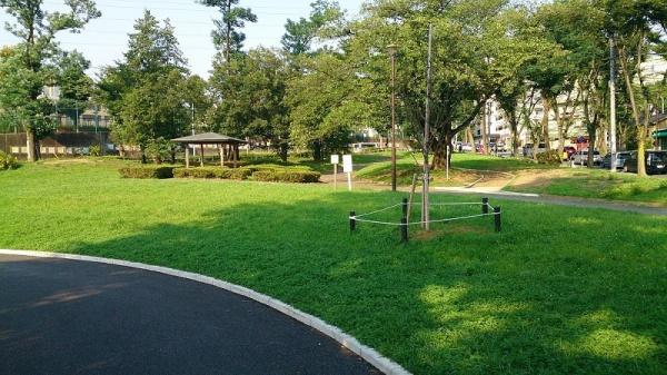 たまプラーザ団地３街区６号棟(美しが丘公園)