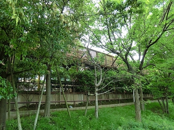港北区新吉田町(ゆうゆうのもり幼稚園)
