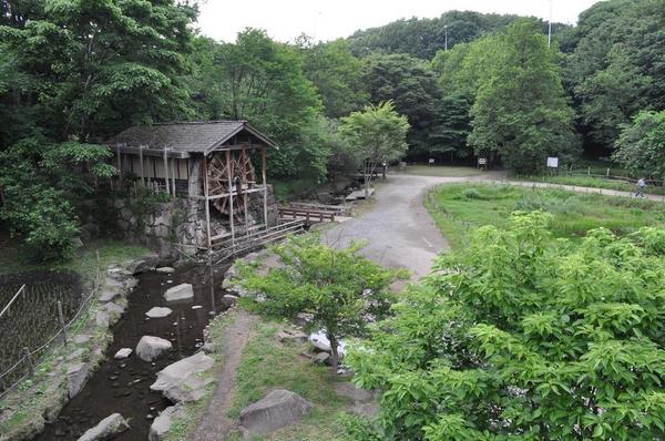 瀬谷区竹村町(城山史跡公園)