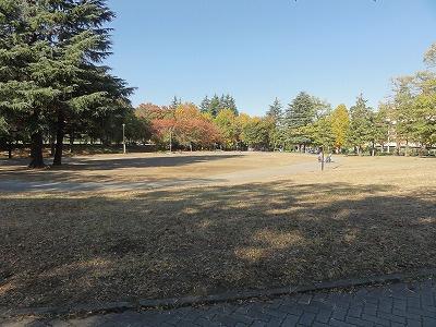 マイキャッスルたまプラーザ(美しが丘公園)