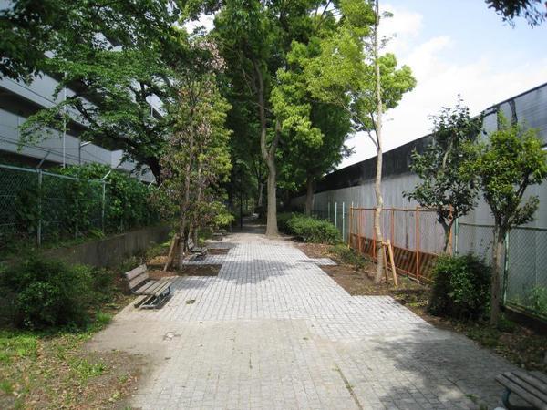 東急ドエルアルス新川崎(平間緑道緑地)