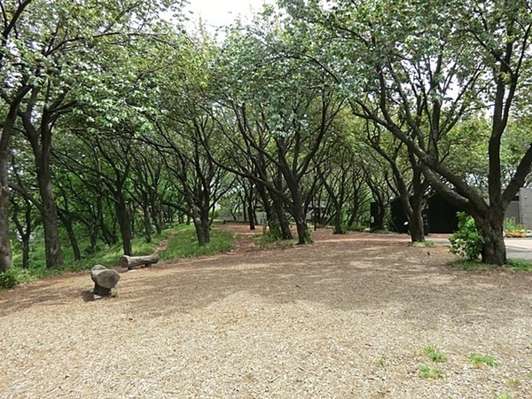 鶴見区馬場３期　全１棟(菊名桜山公園)