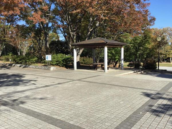 川崎市麻生区白鳥２丁目の新築一戸建(平尾南公園)