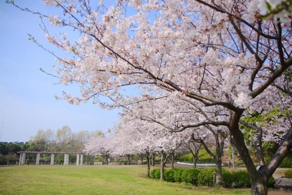 藤沢市辻堂太平台１丁目(長久保公園)