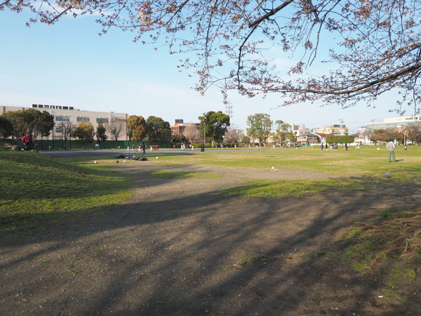 リヴァリエC棟(川崎市市民広場)