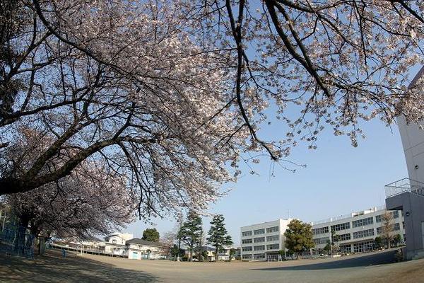 大和市福田(大和市立渋谷小学校)