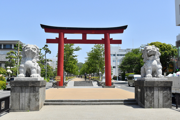 鎌倉市今泉台７丁目(鶴岡八幡宮)