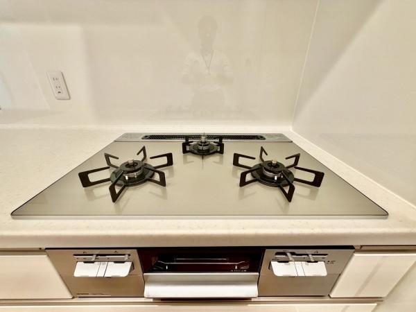 ナイスステージ青葉台ブライティア