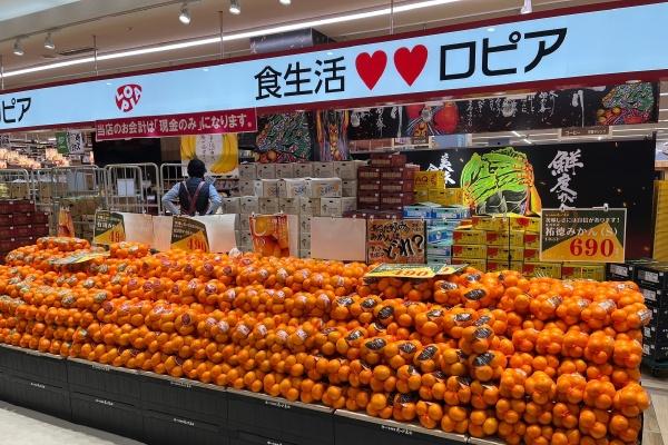 横浜市神奈川区羽沢町の土地(ロピア横浜羽沢店)