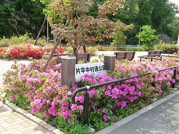 麻生区片平5丁目　全2棟2号棟(片平中村通公園)