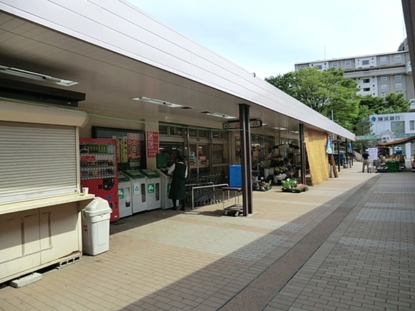 旭区川島町2期　全1棟(そうてつローゼン左近山店)