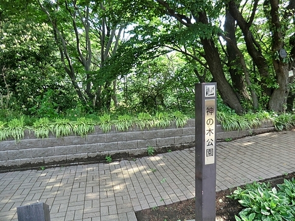 横浜市神奈川区神之木台の土地(神の木公園)