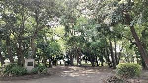 藤沢市片瀬海岸２丁目の中古一戸建て(西浜公園)
