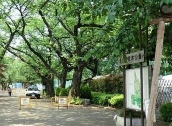 世田谷区下馬５丁目の土地(羽根木小緑地)