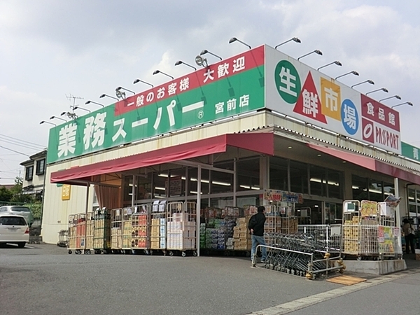 ドレッセ美しの森シルフィーノ(業務スーパー宮前店)