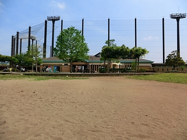 瀬谷区中屋敷1丁目　全1頭(瀬谷本郷公園)