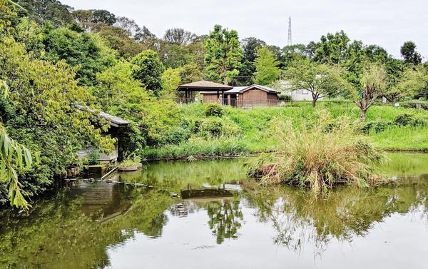 横浜市戸塚区矢部町の新築一戸建(谷矢部池公園)