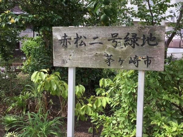 茅ヶ崎市菱沼1丁目二期　2号棟(赤松三号緑地)