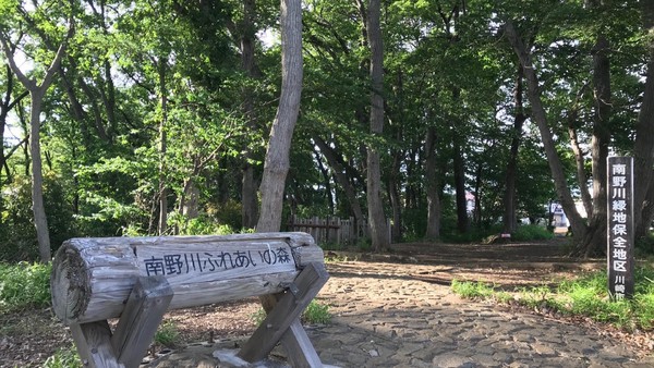 川崎市宮前区南野川３丁目の新築一戸建(野川ふれあいの森)