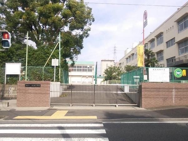 泉区上飯田町　全1棟(横浜市立上飯田小学校)