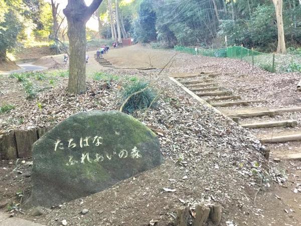 川崎市宮前区野川本町１丁目の土地(たちばなふれあいの森)