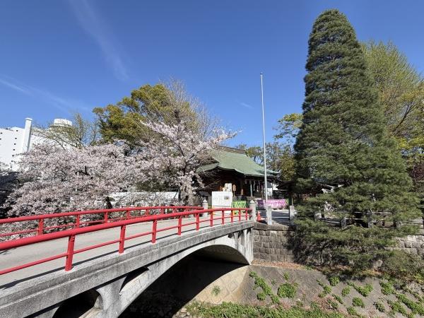 ヴェレーナ松戸(松戸神社)