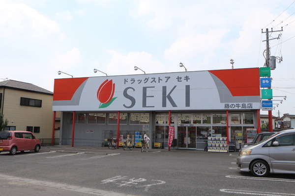 春日部市藤塚の土地(ドラッグストアセキ藤の牛島店)